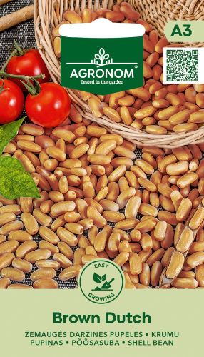 Bean Shell Brown Dutch Seeds